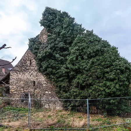 Sonnige Im Markgraeflerland Apartamento