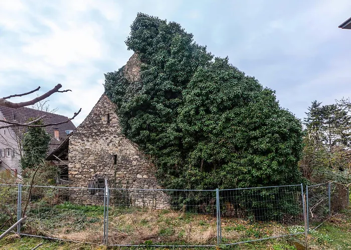 Sonnige Im Markgraeflerland アパート